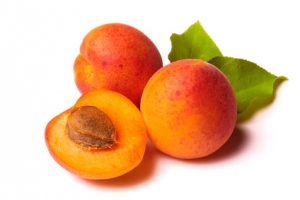 Apricots on white